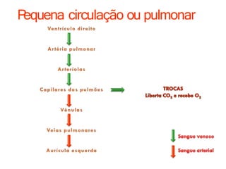 P
equena circulação ou pulmonar
 