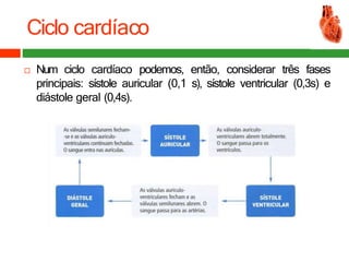 Ciclo cardíaco
 Num ciclo cardíaco podemos, então, considerar três fases
principais: sístole auricular (0,1 s), sístole ventricular (0,3s) e
diástole geral (0,4s).
 