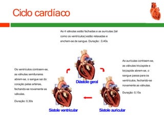 Ciclo cardíaco
As 4 válvulas estão fechadas e as aurículas (tal
como os ventrículos) estão relaxadas e
enchem-se de sangue. Duração : 0,40s
As aurículas contraem-se,
as válvulas tricúspide e
bicúspide abrem-se, o
sangue passa para os
ventrículos, fechando-se
novamente as válvulas.
Duração: 0,15s
Os ventrículos contraem-se,
as válvulas semilunares
abrem-se, o sangue sai do
coração pelas artérias,
fechando-se novamente as
válvulas.
Duração: 0,30s
Diástolegeral
Sístoleauricular
Sístoleventricular
 