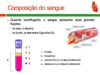 Composição do sangue
 Quando centrifugado, o sangue
frações:
🞑 no topo, o plasma;
🞑 no fundo, os elementos figurados (5).
apresenta duas grandes
1 – PLASMA
2 – PLAQUETAS
3 – LE
UCÓCIT
OSOU GLÓBULOSBR
ANCOS
4 – HEMÁCIASOU GLÓBULOSVER
ME
LHOS
 