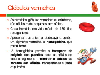 Glóbulos vermelhos
 As hemácias, glóbulos vermelhos ou eritrócitos,
são células muito pequenas, semnúcleo.
 Cada hemácia tem vida média de 120 dias
no organismo.
 Apresentam uma forma bicôncava e contêm
um pigmento vermelho, a hemoglobina, que
possui ferro.
 A hemoglobina permite o transporte de
oxigénio dos pulmões para as células de
todo o organismo e eliminar o dióxido de
carbono das células, transportando-o para
os pulmões.
 