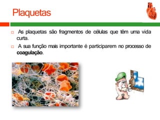 Plaquetas
 As plaquetas são fragmentos de células que têm uma vida
curta.
 A sua função mais importante é participarem no processo de
coagulação.
 
