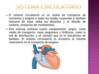  El sistema circulatorio es un medio de transporte de
nutrientes y oxigeno a todos los tejidos corporales y también
remueve de estos todos los desechos y el dióxido de
carbono, productos del metabolismo.
 Este sistema contiene cuatro componentes: sangre, como
medio de transporte; vasos sanguíneos y linfáticos, como la
red de distribución; y el corazón que es el mecanismo de
bombeo. El sistema circulatorio es accesorio al sistema
respiratorio en el transporte de oxigeno.
 