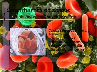Constituintes do sangue
Glóbulos Vermelhos ou Hemácias
Células sem núcleo, com a
forma de um disco
achatado. Possuem
hemoglobina, responsável
pela cor vermelha. São as
células mais abundantes
do sangue.
 