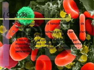 Coração
Órgão musculoso com o tamanho aproximado de
uma mão fechada.
Localizado entre os pulmões e tem a parte inferior
virada para a esquerda
A maior parte do coração é constituída por tecido
muscular cardíaco - miocárdio. Externamente o
coração está revestido por uma membrana –
pericárdio.
 