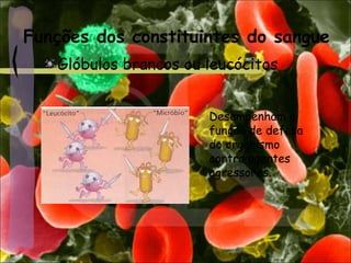 Funções dos constituintes do sangue
Glóbulos brancos ou leucócitos
Desempenham a
função de defesa
do organismo
contra agentes
agressores.
 