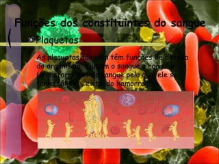 Funções dos constituintes do sangue
Plaquetas
As plaquetas também têm funções de defesa
do organismo: ajudam o sangue a coagular
(transformação do sangue pela qual ele se
torna sólido) , evitando hemorragias.
 