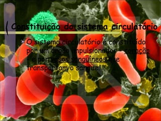 Constituição do sistema circulatório
O sistema circulatório é constituído
por um órgão impulsionador - coração
- e por vasos sanguíneos que
transportam o sangue.
 