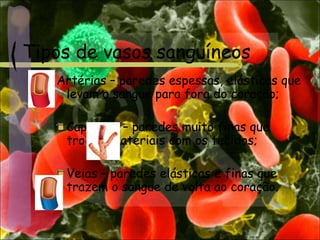 Tipos de vasos sanguíneos
Artérias – paredes espessas, elásticas que
levam o sangue para fora do coração;
Capilares – paredes muito finas que
trocam materiais com os tecidos;
Veias – paredes elásticas e finas que
trazem o sangue de volta ao coração.
 