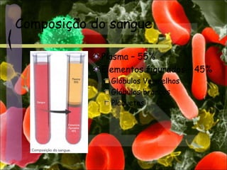 Composição do sangue
Plasma – 55%
Elementos figurados – 45%
Glóbulos Vermelhos
Glóbulos brancos
Plaquetas
 