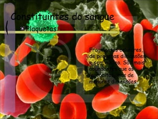 Constituintes do sangue
Plaquetas
Fragmentos celulares,
de pequenas dimensões
e sem núcleo. São mais
abundantes que os
leucócitos, mas de
menores dimensões.
 