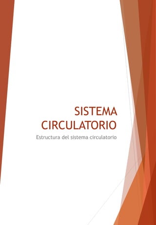 SISTEMA
CIRCULATORIO
Estructura del sistema circulatorio
 