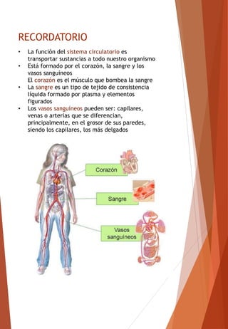 RECORDATORIO
• La función del sistema circulatorio es
transportar sustancias a todo nuestro organismo
• Está formado por el corazón, la sangre y los
vasos sanguíneos
El corazón es el músculo que bombea la sangre
• La sangre es un tipo de tejido de consistencia
líquida formado por plasma y elementos
figurados
• Los vasos sanguíneos pueden ser: capilares,
venas o arterias que se diferencian,
principalmente, en el grosor de sus paredes,
siendo los capilares, los más delgados
 