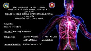 UNIVERSIDAD CENTRAL DEL ECUADOR
FACULTAD DE FILOSOFÍA, LETRAS Y CIENCIAS DE LA
EDUCACIÓN
PEDAGOGÍA DE LAS CIENCIAS EXPERIMENTALES, QUÍMICA
Y BIOLOGÍA
ANATOMÍA Y FISIOLOGÍA HUMANA
Grupo N°4
Sistema circulatorio
Integrantes:
Semestre/Paralelo:
-Jonatan Andrade -Jonathan Narváez
-Andrea Mármol -María Vallejo
Docente: MSc. Jimy Guanoluisa
Séptimo Semestre “B”
 