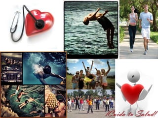 Sistema circulatorio 