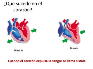 Cuando el corazón expulsa la sangre se llama sístole
¿Que sucede en el
corazón?
 