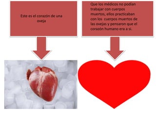 Este es el corazón de una
oveja
Que los médicos no podían
trabajar con cuerpos
muertos, ellos practicaban
con los cuerpos muertos de
las ovejas y pensaron que el
corazón humano era a si.
 