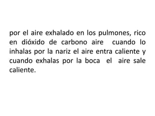 por el aire exhalado en los pulmones, rico
en dióxido de carbono aire cuando lo
inhalas por la nariz el aire entra caliente y
cuando exhalas por la boca el aire sale
caliente.
 