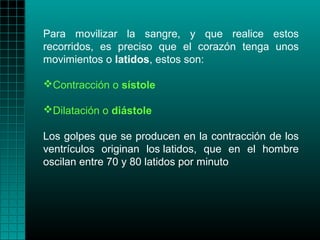 Para movilizar la sangre, y que realice estos
recorridos, es preciso que el corazón tenga unos
movimientos o latidos, estos son:

Contracción o sístole

Dilatación o diástole

Los golpes que se producen en la contracción de los
ventrículos originan los latidos, que en el hombre
oscilan entre 70 y 80 latidos por minuto
 