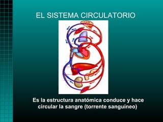 EL SISTEMA CIRCULATORIO




Es la estructura anatómica conduce y hace
  circular la sangre (torrente sanguíneo)
 