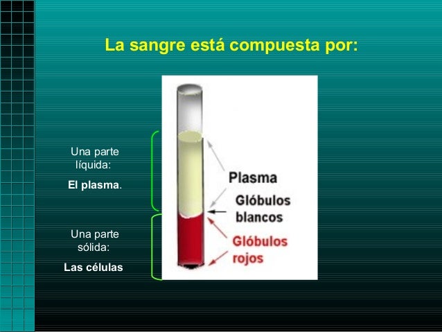 La sangre está compuesta por: Una parte  líquida:El plasma. Una parte  sólida:Las células 