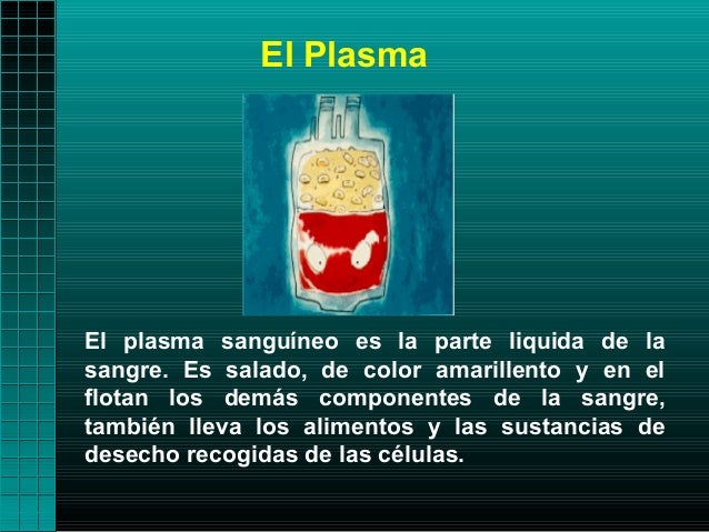 El PlasmaEl plasma sanguíneo es la parte liquida de lasangre. Es salado, de color amarillento y en elflotan los demás comp...