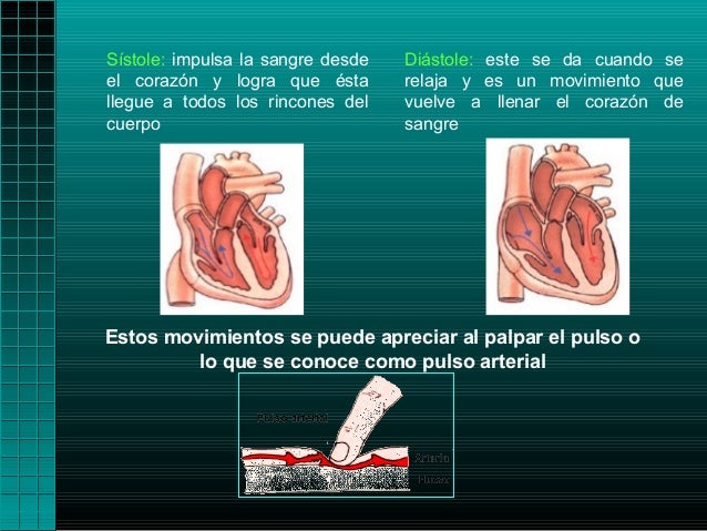 Sístole: impulsa la sangre desde   Diástole: este se da cuando seel corazón y logra que ésta        relaja y es un movimie...