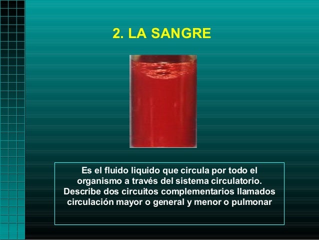 2. LA SANGRE     Es el fluido liquido que circula por todo el    organismo a través del sistema circulatorio.Describe dos ...