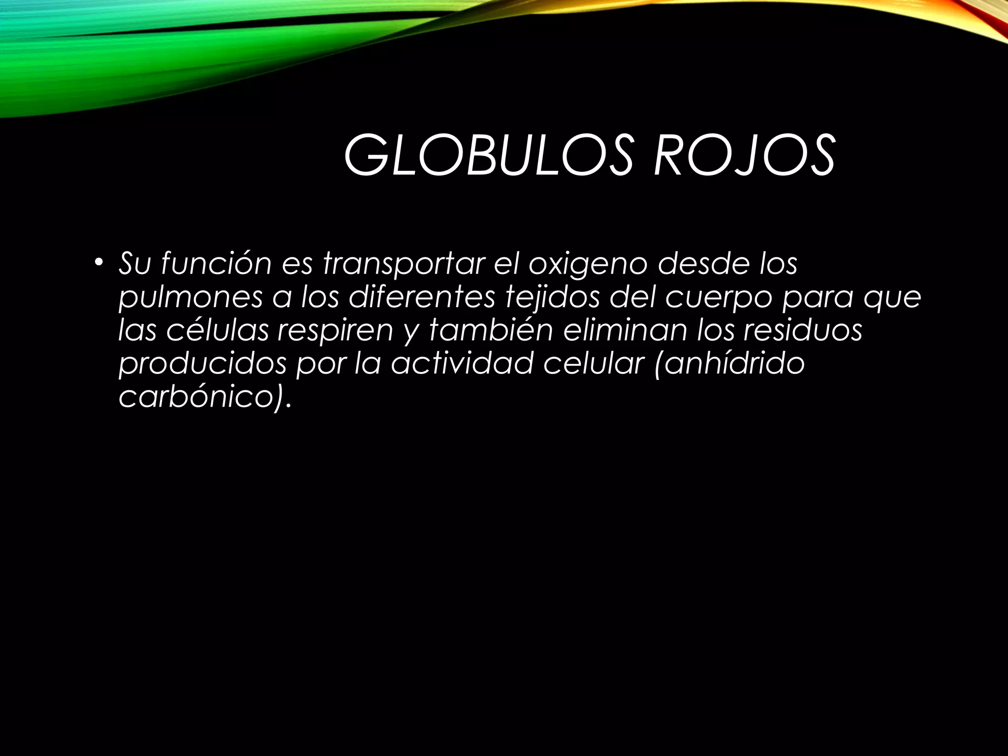 GLOBULOS ROJOS
• Su función es transportar el oxigeno desde los
pulmones a los diferentes tejidos del cuerpo para que
las células respiren y también eliminan los residuos
producidos por la actividad celular (anhídrido
carbónico).
 