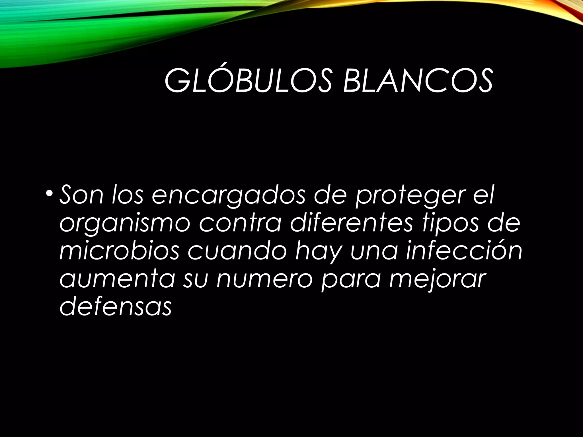 GLÓBULOS BLANCOS
• Son los encargados de proteger el
organismo contra diferentes tipos de
microbios cuando hay una infección
aumenta su numero para mejorar
defensas
 
