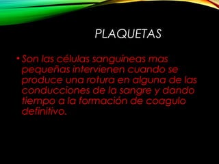 PLAQUETAS
• Son las células sanguíneas mas
pequeñas intervienen cuando se
produce una rotura en alguna de las
conducciones de la sangre y dando
tiempo a la formación de coagulo
definitivo.
 