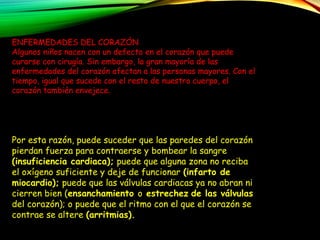TRASTORNOS
CIRCULATORIOS
ENFERMEDADES DEL CORAZÓN
Algunos niños nacen con un defecto en el corazón que puede
curarse con cirugía. Sin embargo, la gran mayoría de las
enfermedades del corazón afectan a las personas mayores. Con el
tiempo, igual que sucede con el resto de nuestro cuerpo, el
corazón también envejece.
Por esta razón, puede suceder que las paredes del corazón
pierdan fuerza para contraerse y bombear la sangre
(insuficiencia cardiaca); puede que alguna zona no reciba
el oxígeno suficiente y deje de funcionar (infarto de
miocardio); puede que las válvulas cardiacas ya no abran ni
cierren bien (ensanchamiento o estrechez de las válvulas
del corazón); o puede que el ritmo con el que el corazón se
contrae se altere (arritmias).
 