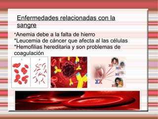 Enfermedades relacionadas con la sangre * Anemia  debe a la falta de hierro * Leucemia  de  cáncer  que afecta al las  células * Hemofilias  hereditaria y son  problemas  de  coagulación 
