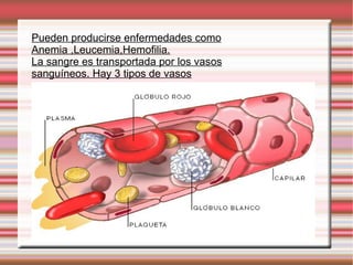 Pueden  producirse  enfermedades  como Anemia ,Leucemia,Hemofilia. La sangre es transportada por los vas os sanguíneos. Hay  3 tipos de vasos 