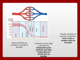 Vasos próximos do
coração. A pressão é
elevada.
Aumenta a área, logo
a pressão cai.
Importante para
permitir que haja
tempo para as
trocas com os
tecidos.
Grande redução na
pressão sanguínea.
Como é que o
sangue volta ao
coração?
 