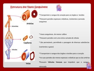 Estrutura dos Vasos Sanguíneos
 Transportam o sangue do coração para os órgãos e tecidos
Artérias
Capilares
Veias
 Transportam o sangue dos órgãos e tecidos para o coração
 Vasos sanguíneos de menor calibre
Arteríolas
Vénulas
 Possuem paredes espessas e elásticas, resistentes à pressão
sanguínea
 As suas paredes são menos espessas e elásticas que as das artérias
Possuem Válvulas Venosas que impedem que o sangue
retroceda
 Possuem paredes com uma única camada de células
 São permeáveis, permitindo a passagem de diversas substâncias
(nutrientes e gases)
 