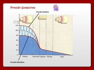 Pressão Sanguínea Pressão Sistólica Pressão Diastólica 