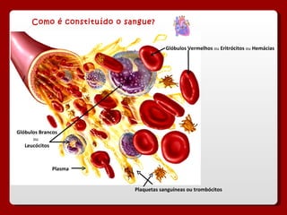Como é constituído o sangue? Glóbulos Vermelhos  ou   Eritrócitos   ou   Hemácias Glóbulos Brancos  ou   Leucócitos Plasma Plaquetas sanguíneas ou trombócitos 