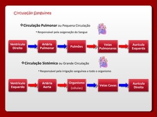 Circulação Sanguínea Circulação Pulmonar  ou Pequena Circulação Responsável pela oxigenação do Sangue Circulação Sistémica  ou Grande Circulação Responsável pela irrigação sanguínea a todo o organismo Pulmões Veias Pulmonares Aurícula Esquerda Organismo (células) Veias Cavas Aurícula Direita 
