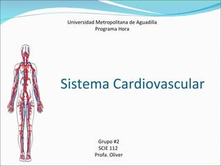 Sistema Cardiovascular Universidad Metropolitana de Aguadilla Programa Hora Grupo #2 SCIE 112  Profa. Oliver 