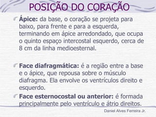 POSIÇÃO DO CORAÇÃO
Ápice: da base, o coração se projeta para
baixo, para frente e para a esquerda,
terminando em ápice arredondado, que ocupa
o quinto espaço intercostal esquerdo, cerca de
8 cm da linha medioesternal.

Face diafragmática: é a região entre a base
e o ápice, que repousa sobre o músculo
diafragma. Ela envolve os ventrículos direito e
esquerdo.
Face esternocostal ou anterior: é formada
principalmente pelo ventrículo e átrio direitos.
                                Daniel Alves Ferreira Jr.
 