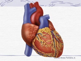 Daniel Alves Ferreira Jr.
 