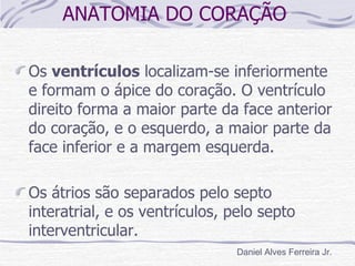 ANATOMIA DO CORAÇÃO

Os ventrículos localizam-se inferiormente
e formam o ápice do coração. O ventrículo
direito forma a maior parte da face anterior
do coração, e o esquerdo, a maior parte da
face inferior e a margem esquerda.

Os átrios são separados pelo septo
interatrial, e os ventrículos, pelo septo
interventricular.
                                Daniel Alves Ferreira Jr.
 