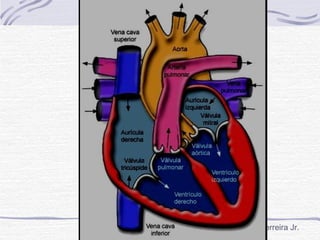 Daniel Alves Ferreira Jr.
 