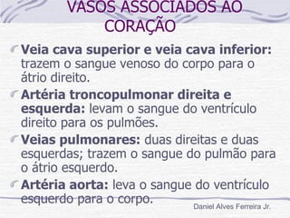 VASOS ASSOCIADOS AO
             CORAÇÃO
Veia cava superior e veia cava inferior:
trazem o sangue venoso do corpo para o
átrio direito.
Artéria troncopulmonar direita e
esquerda: levam o sangue do ventrículo
direito para os pulmões.
Veias pulmonares: duas direitas e duas
esquerdas; trazem o sangue do pulmão para
o átrio esquerdo.
Artéria aorta: leva o sangue do ventrículo
esquerdo para o corpo.       Daniel Alves Ferreira Jr.
 