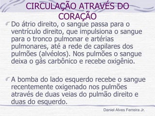 CIRCULAÇÃO ATRAVÉS DO
           CORAÇÃO
Do átrio direito, o sangue passa para o
ventrículo direito, que impulsiona o sangue
para o tronco pulmonar e artérias
pulmonares, até a rede de capilares dos
pulmões (alvéolos). Nos pulmões o sangue
deixa o gás carbônico e recebe oxigênio.

A bomba do lado esquerdo recebe o sangue
recentemente oxigenado nos pulmões
através de duas veias do pulmão direito e
duas do esquerdo.
                              Daniel Alves Ferreira Jr.
 