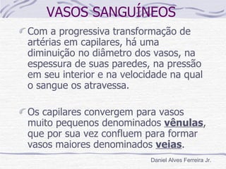 VASOS SANGUÍNEOS
Com a progressiva transformação de
artérias em capilares, há uma
diminuição no diâmetro dos vasos, na
espessura de suas paredes, na pressão
em seu interior e na velocidade na qual
o sangue os atravessa.

Os capilares convergem para vasos
muito pequenos denominados vênulas,
que por sua vez confluem para formar
vasos maiores denominados veias.
                           Daniel Alves Ferreira Jr.
 