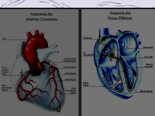 Daniel Alves Ferreira Jr.
 