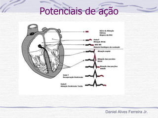 Potenciais de ação




               Daniel Alves Ferreira Jr.
 