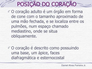 POSIÇÃO DO CORAÇÃO
O coração adulto é um órgão em forma
de cone com o tamanho aproximado de
uma mão fechada, e se localiza entre os
pulmões, num espaço chamado
mediastino, onde se situa
obliquamente.

O coração é descrito como possuindo
uma base, um ápice, faces
diafragmática e esternocostal
                          Daniel Alves Ferreira Jr.
 
